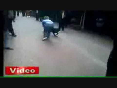 rottweiler attaque