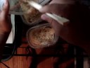 Microworm Tutorial for betta/plakat fry Microworm Tutorial for betta/plakat fry