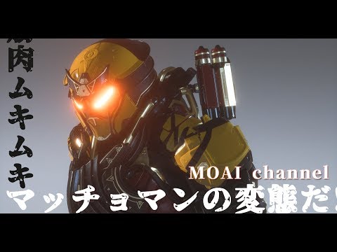 動画