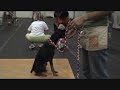 Gidget at agility training.