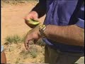 NBC News Arizona Desert Survival Course in 2000
