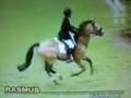videos de Rasmus