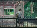 Tarling\"DUNIAWATI\" part.8 By Mencoet Tarling\"DUNIAWATI\" part.8 By Mencoet