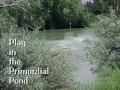 Serenity Video Montage