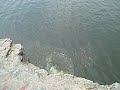 Cliff Jumper... err Walker