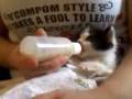 videos de A mamadeira é minha