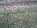 snow day #2