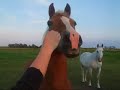 der wilde Westen in Ostfriesland  Teil 1