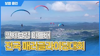 보령줌인ㅣ보령에서 느끼는 바람여행! 만세보령 머드배 전국 패러글라이딩대회