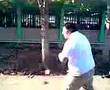 jackass boys PRIMO fedreal 7