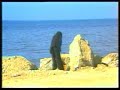Dahmane El Harrachi by the sea