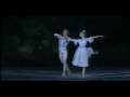 A Pine Forest in Winter - Nutcracker