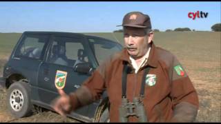 EL GUARDA RURAL