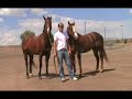 National High School Rodeo Finals Check-in