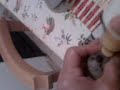 Amamentando gatinhos Amamentando gatinhos