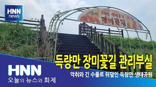 득량만 장미꽃길 관리부실