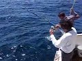 Pargo do Walter Canelas - Fish with 6.5 Kg