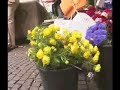Munich Germany- travel journal
