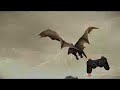PlayStation3 Internet Commercial: Control