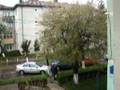 its raining in onesti