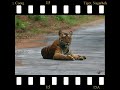 Sights of Coorg