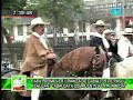 Caballo Peruano en Lima.wmv