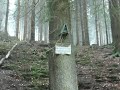 Die heilige Ilsequelle