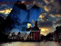 Come 2 study in Holland Eurogates Come 2 study in Holland Eurogates