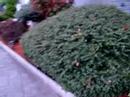 Samad home 3