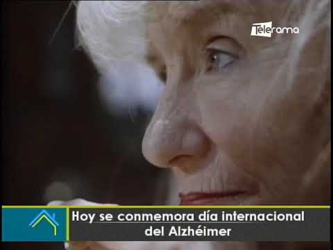 Hoy se conmemora día internacional del Alzhéimer Entrevista a Diego Noboa Terapista Memory