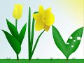 nour-el-houda.html