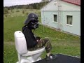 Darth roof