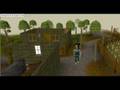 videos de gay st00f in runescape for boys!