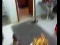videos de Sully (houdini act).3g2