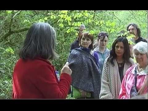 moments.org - Genetic change induced by zeno chemicals , yet another reason to restore native .............NATIVE ............. forest in Ireland and Britain . Please give...