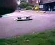 stafford skateboarding