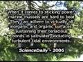 Evolution - Biomimicry - Natural Intelligence