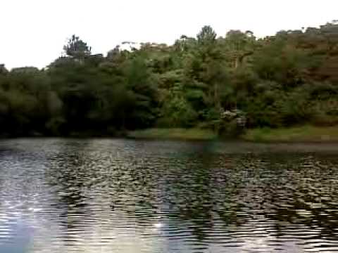 LAGOA DE TILÁPIA EM COTIA.