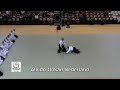 2009 Aikido Itokan Demo Joost van Straaten Doshu 2