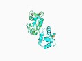 pymol.mp4