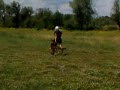 Дэн движение рядом, тренинг лето.