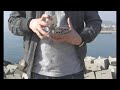 Card Flourishes - Miquel Roman, Victor Garcia & David Garcia (Barcelona Flourishers): Syzygy