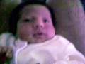 videos de 02122008002.mp4