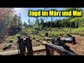 tzjDBwNuX1Y