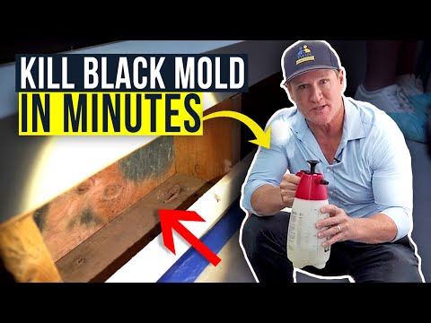 video-linktoworks-Kill Toxic Black Mold FOREVER - In Minutes!! Twin...