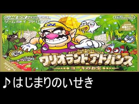 動画