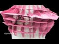 Fashion sketch and sculptural Model by Debbie Ying-Chia Huang.m4v