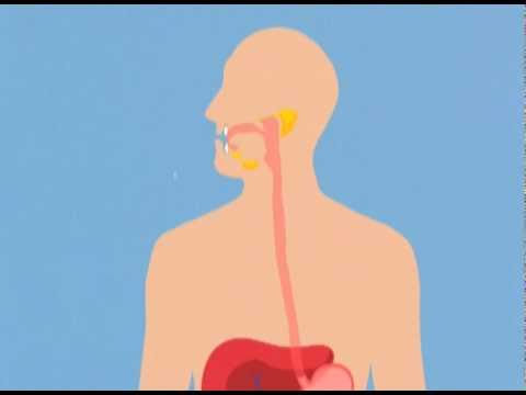how to unclog salivary glands
