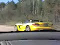 Yellow Viper