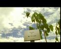 National Museum of Singapore TVC